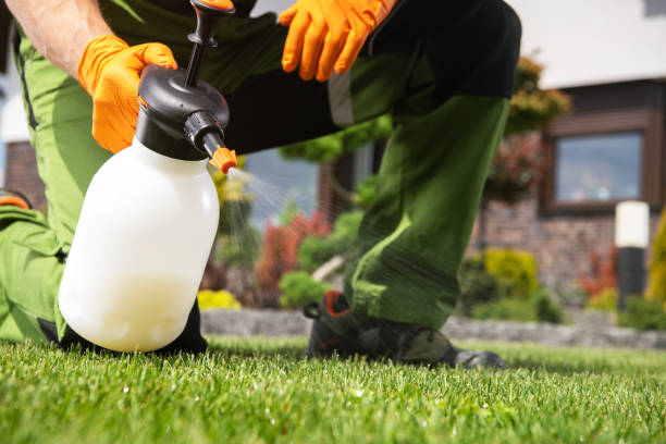 Best Pest Control for Restaurants  in Clay, KY