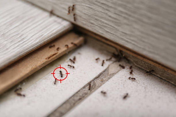 Clay, KY Pest Control Company