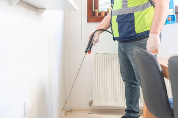 Best Termite Control Services  in Clay, KY