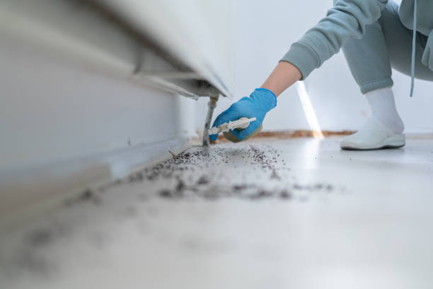 Best Commercial Pest Control Services  in Clay, KY