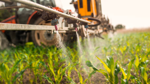 Best Pest Removal Services  in Clay, KY